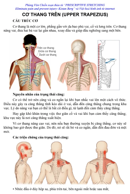 Bài tập căng cơ kháng lực phần cổ vai và ngực